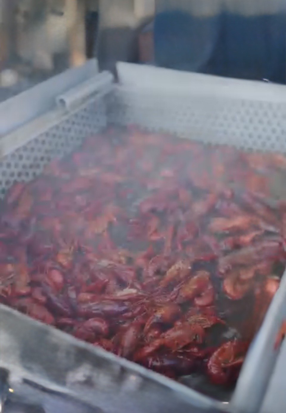 A basket of crawfish lifted from the boil